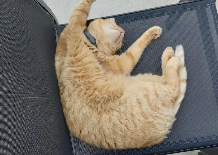 Dorothy Апартаменты