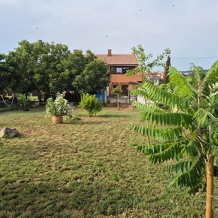 Dorothy Appartamento Pola