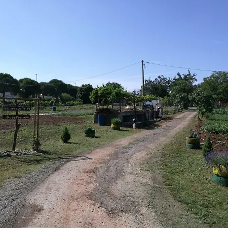 Apartament Dorothy Pula